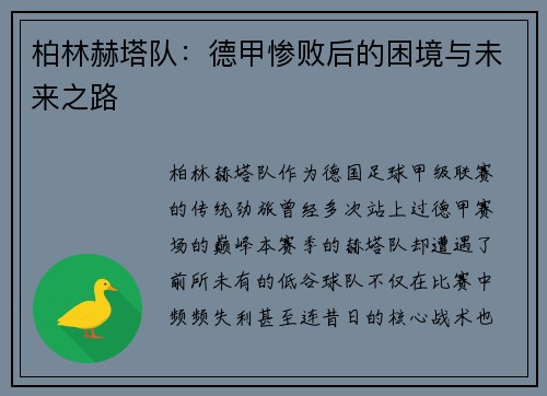 柏林赫塔队：德甲惨败后的困境与未来之路